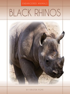 Black Rhinos - ebook